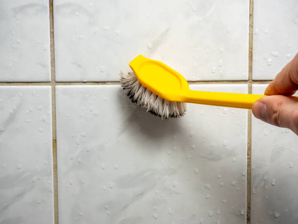 Best Residential Mold Removal  in New Paris, OH