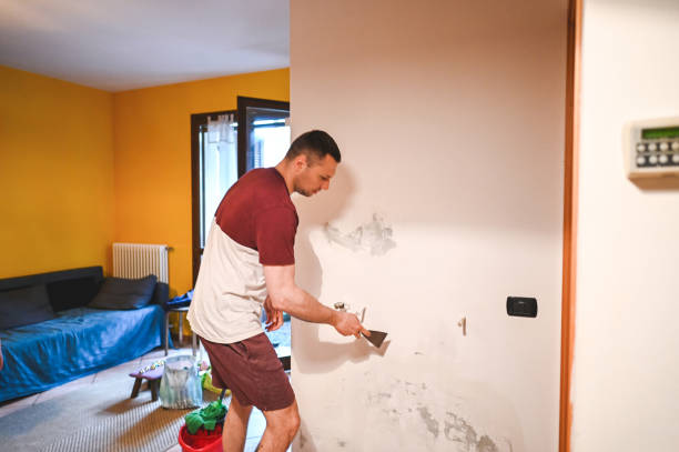 Best Mold Testing and Removal  in New Paris, OH